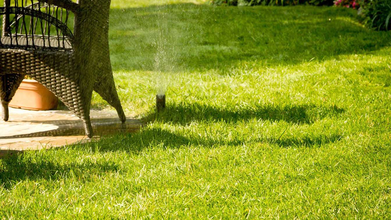 Irrigation System Image