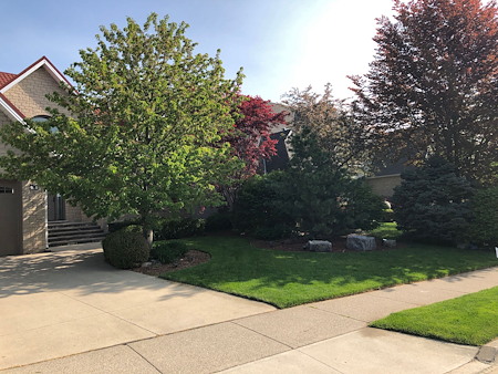 Spring Lawn Care Checklist for Hamilton Homeowners