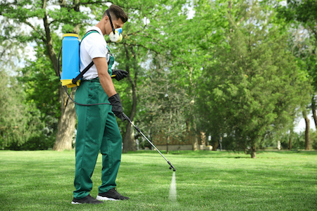 Weed Control